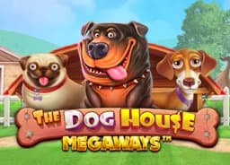 drelizabethburns: The Dog House Megaways